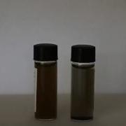 Agglomeration And Settling Of Iron Nanoparticle Suspension