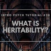 What Is Heritability Intro Psych Tutorial 38