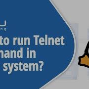How To Run Telnet Command In Linux System