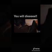 A Cat Saying You Will Die