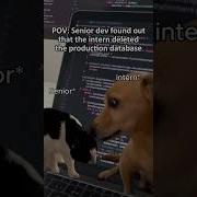 POV Senior Dev Found Out That The Intern Deleted Production Database Shorts Funny Memes