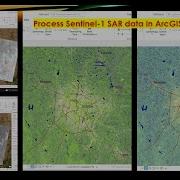 ArcGIS Pro для обработки данных SAR Учебное пособие по Sentinel 1
