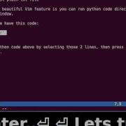 Running Python Code From Vim Window