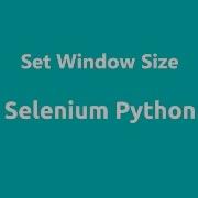 Selenium Python Set Window Size