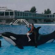 Orca MEP I Hate Your Boyfriend OPEN