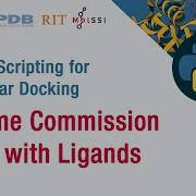Python Scripting For Molecular Docking Enzyme Commission Class With Ligands