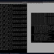 ARP Spoof Detector With Python