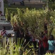 Christian Faithful Around The World Celebrate Palm Sunday AFP