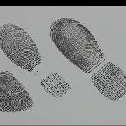 Fingerprint Paradigm How To Recognize Radial And Ulnar Loops
