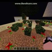 I Show You Around My Creative Plot