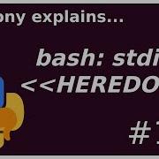 Bash Multiple Lines To Stdin With Heredocs Beginner Intermediate Anthony Explains 127
