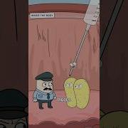 The Vaccine Trained His Immune System