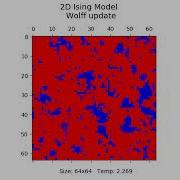 2D Ising Model Wolff Update