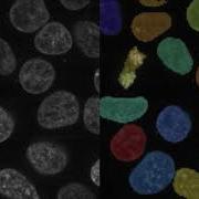 3D Analysis With CellProfiler3 0