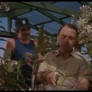 Magnum P I Opening Theme