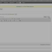 Wordpress Using The WYSIWYG Editor