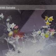 KASHIWA Daisuke Stella