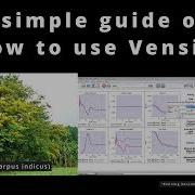 Stock And Flow Diagram Using Vensim Software