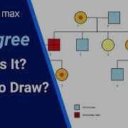 How To Create A Pedigree How To Draw A Genogram Hemophilia Pedigree Chart EdrawMax