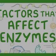 GCSE Biology Enzymes How Temperature And PH Affect Rate Of Reaction 2026 27 Exams