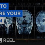 Why You Re Not Stuck With The Brain You Re Born With BBC REEL