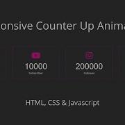 Responsive Counter Up Animation Using HTML CSS JavaScript