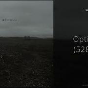 NF Options 528Hz