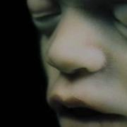 Rammstein Mutter Lyrics