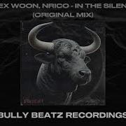 Alex Woon NRICO In The Silence Original Mix Bully Beatz Recordings