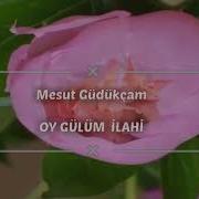 Müziksiz Ilahi Mesut Güdükçam Oy Gülüm