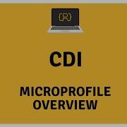 CDI Contexts And Dependency Injection Getting Started With MicroProfile
