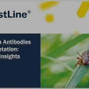 Borrelia Antibodies Interpretation Expert Insights