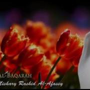 Surat Al Baqarah Mishary Rashid Alafasy سورة البقرة مشاري بن راشد العفاسي