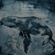 Cosmo Sheldrake Pelagy