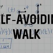 Self Avoiding Walk Basics And Probability