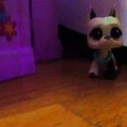 LPS Two Timer Season 1 Ep 1