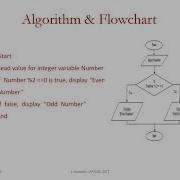 Decision Making Structure In C