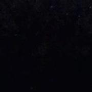 Fireflies Sync
