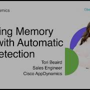 Identifying Memory Leaks With Automatic Leak Detection