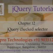 JQuery 12 Selectors Checked Selector
