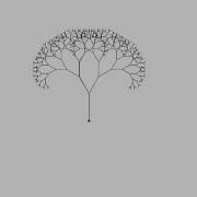 Fractal Tree By Python