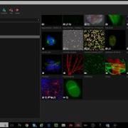 Imaris Advanced Tutorial Session 3 UCSF 080918