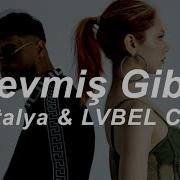 Eftalya LVBEL C5 Sevmiş Gibi Lyrics Sözleri