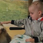Recovering From Traumatic Brain Injury Ryan S Story