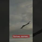 V6 Morphing Wing Testing