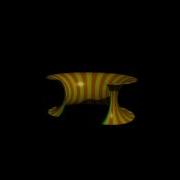 Folding A Torus