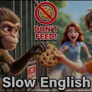 The Great Zoo Navigation Easy English Story For Beginners A1 A2