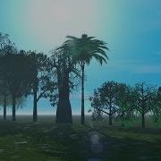 Tree Size Comparison 4K