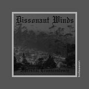 Dissonant Winds Forestial Transcendence 2017 Full Album Atmospheric Depressive Black Metal