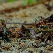 Army Men Humanity Strikes Back Micro Wars 7